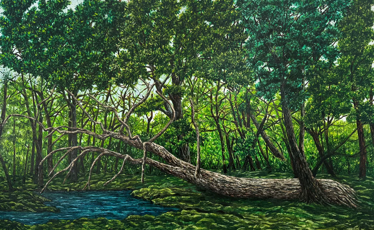 Amirhossein Bayani’s The Dragon Lives: a split, fallen tree lying across a mossy bank beside a stream, under a dense green canopy.