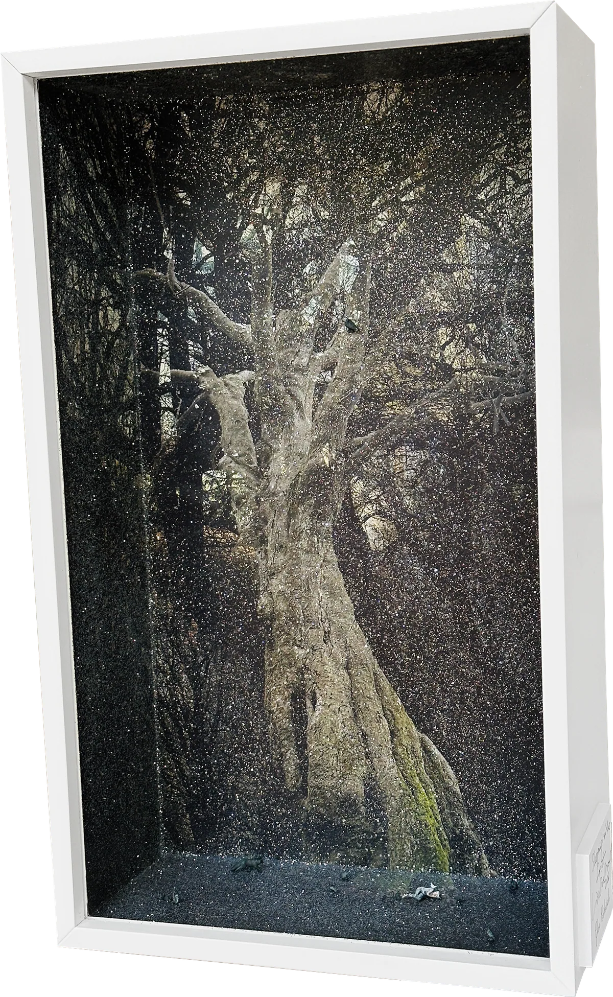 Tall white box diorama: a vast mossy tree in a dark, glittering forest, with a tiny figure asleep at its foot.