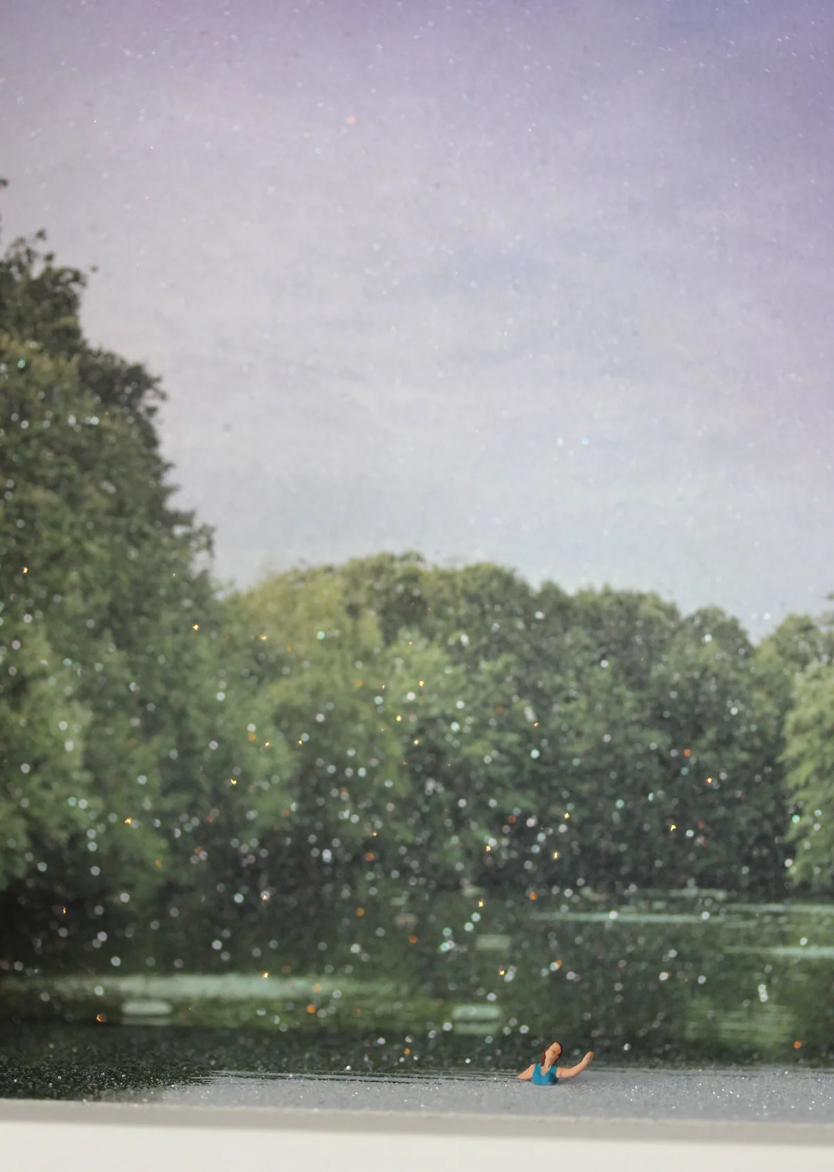 Detail: the tiny swimmer in the pond beneath the trees.