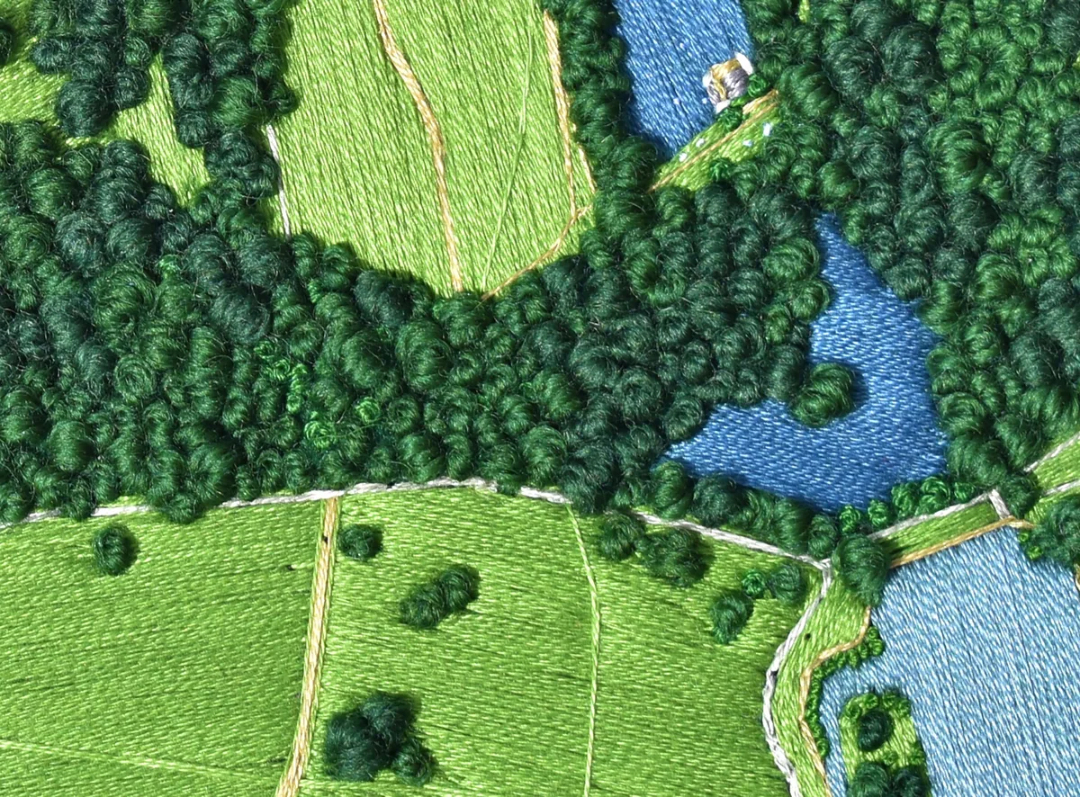 Detail: dense knotted woodland, pale meadows and blue ponds in close-up.